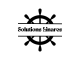Solutions Linares