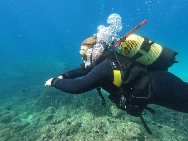 Océanos Diving Center 