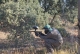 Gotcha Castilla la Mancha