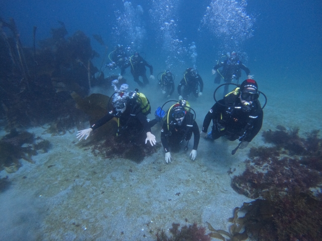 Un equipo de buceadores explorando el entorno