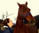 Cabalgatas Aragón