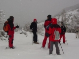 Ruta nocturna con raquetas Molina o Masella 2h