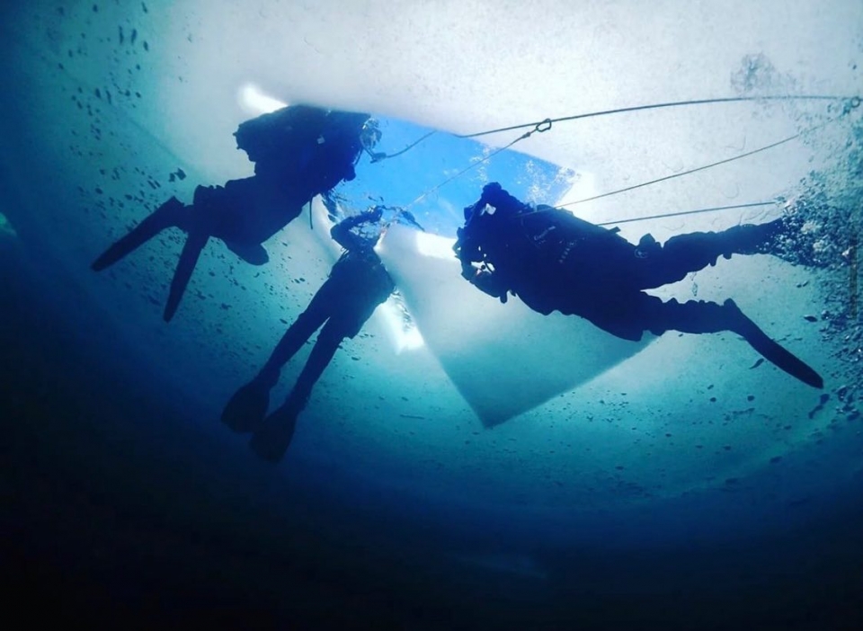 Duranle una sesión de buceo interesanle Duranle una sesión de buceo interesanle