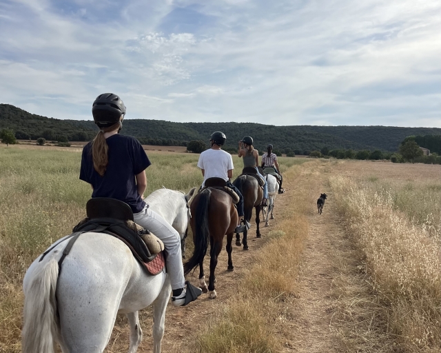 Disfruta de un paseo a caballo por los campos de Burgos
