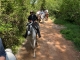 Cabalgatas Castilla y León