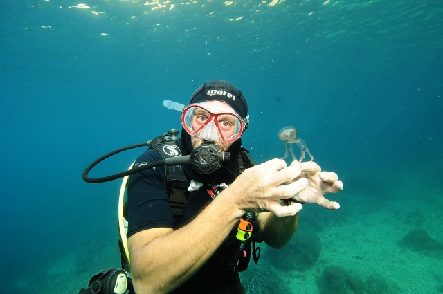 Interactuando bajo el mar