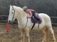 Clases de Equitación Sant Feliu De Llobregat
