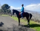 Cabalgatas Tenerife