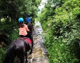 Paseo a caballo por Valle de Lozoya 1h