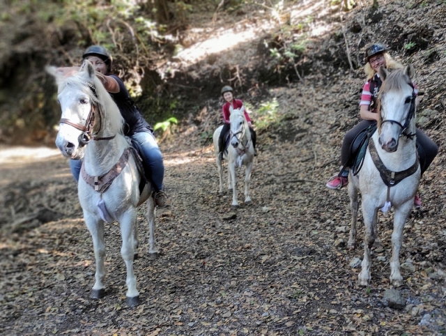 Cabalgamarra La Orotava 4 horas