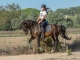 Cabalgatas Begur