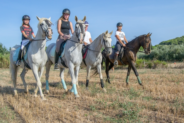 Paseo a caballo por Palamós