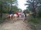 Cabalgatas Tarragona