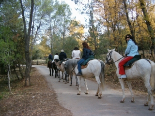 Cabalgamarra en Cazorla 2 horas