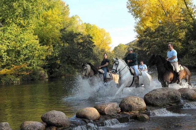 La ruta del Cid, a caballo