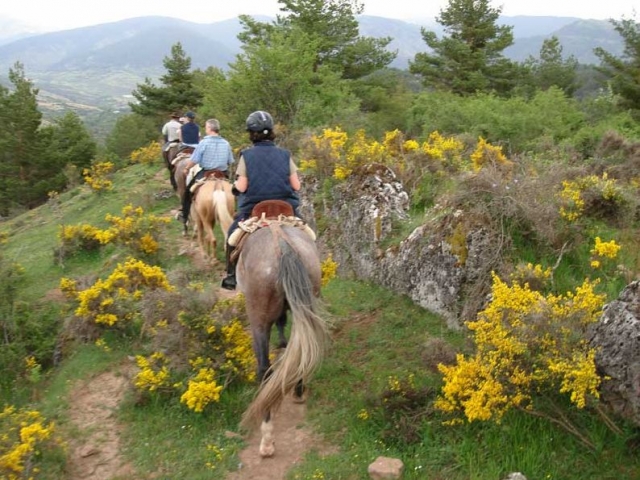 Ruta por la Sierra de Demanda