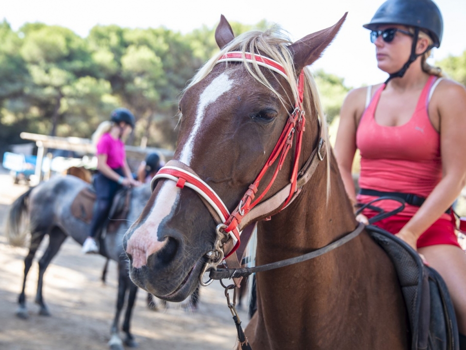 Mallorca a caballo Mallorca a caballo