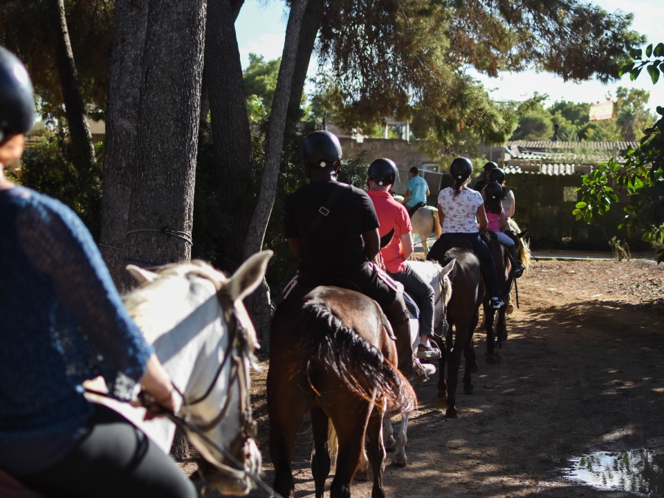 Pbaños a caballo en Mallorca Pbaños a caballo en Mallorca
