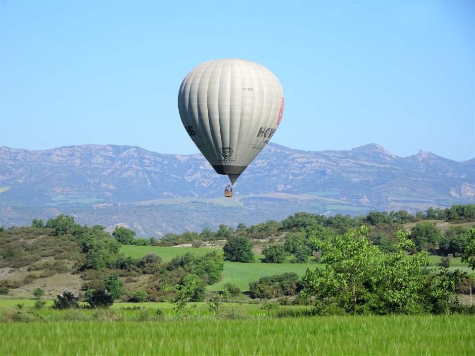 Paseando en globo por la naturaleza Paseando en globo por la naturaleza