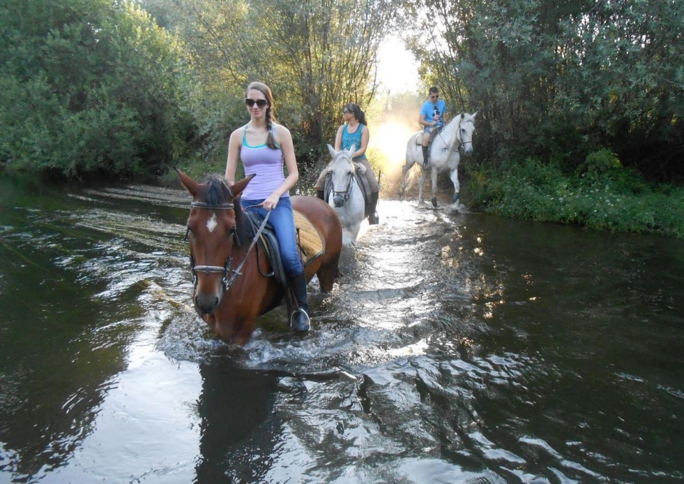 Accediendo al Tormes con los caballos Accediendo al Tormes con los caballos