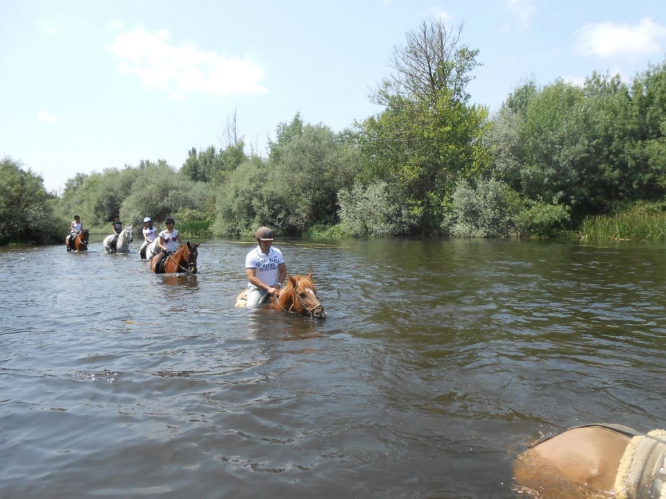 Caballos de ruta por el Tormes Caballos de ruta por el Tormes