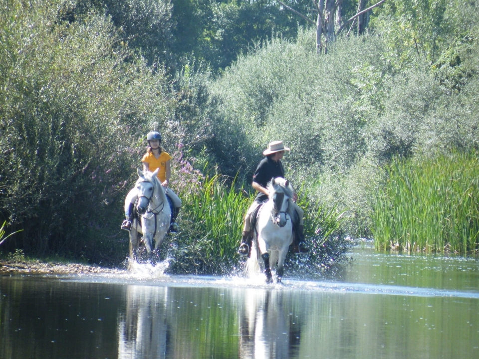 Cabalgamarra por la ribera del Tormes
