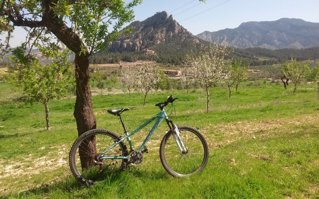 Bicicleta en plena naturaleza