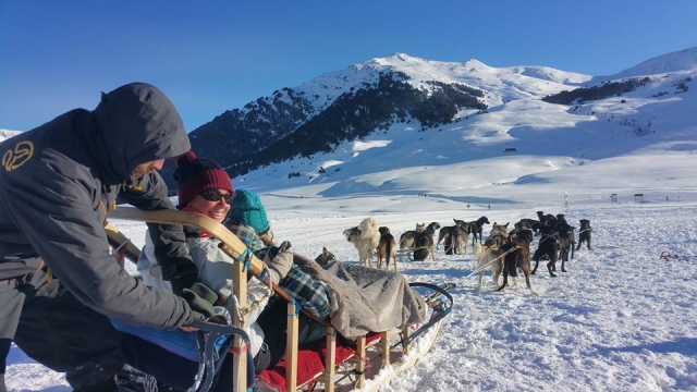 Experiencia de mushing