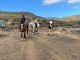 Cabalgatas Gran Canaria