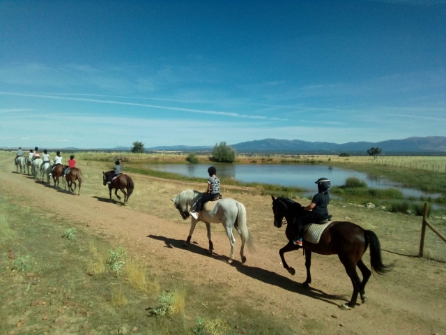 Pbaños a caballo