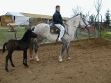 Paseo a caballo para niños en Granjera