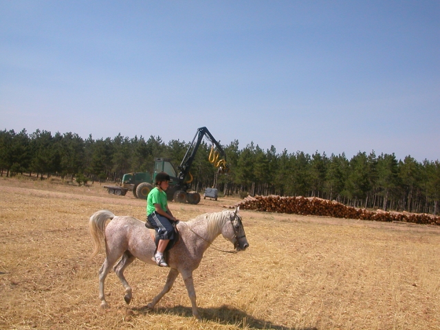 disfrutando del campo