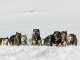 Motos de Nieve Canillo
