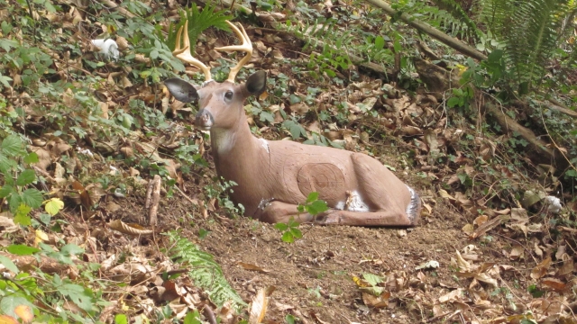 Venado 3D jalo con arco