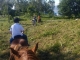 Cabalgatas Pontevedra