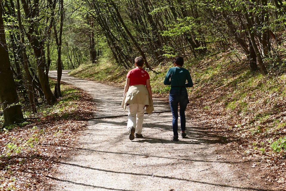 Paseo por el bosque