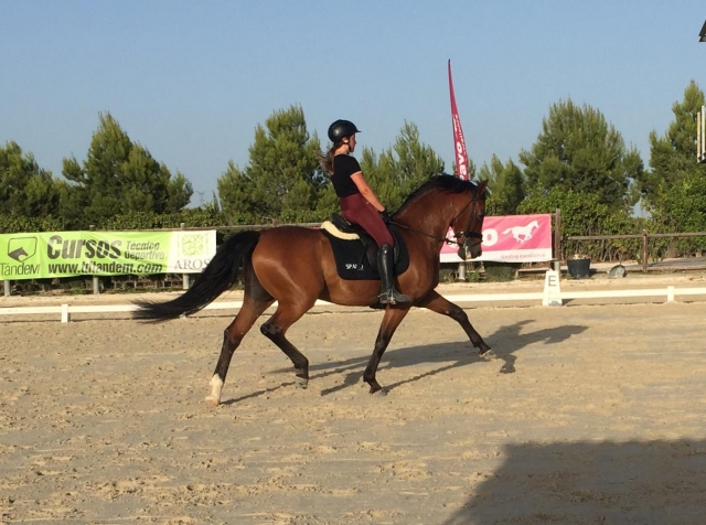 Clases de equitación en Murcia