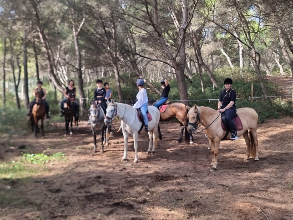 Paseo a caballo hacia un mirador