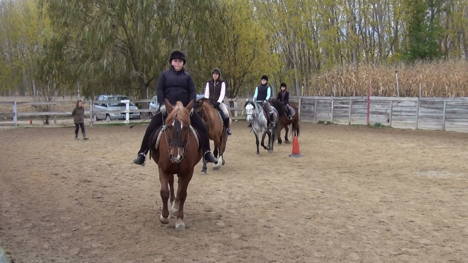 Aprende a subir a caballo en Huertas