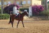 Bono 10 Clases de Equitación Iniciación Chiclana