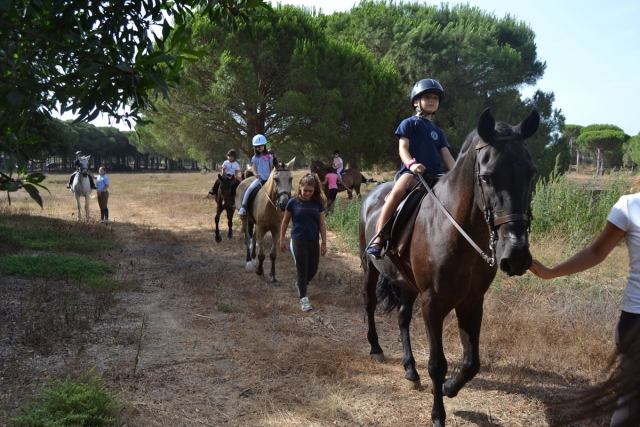 Ruta por los pinares