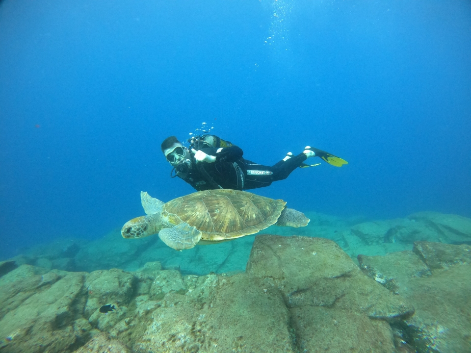 Discover Scuba Diving en Tenerife Discover Scuba Diving en Tenerife