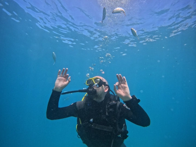 Dos inmersiones de buceo desde barco, Puerto Colón