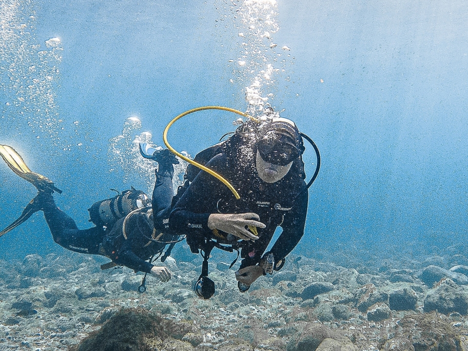 Inmersión de buceo Inmersión de buceo