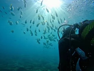 Bautizo de buceo personalizado Marina del Esle, 4h