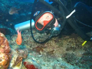 PADI Advanced Open Water, La Herradura
