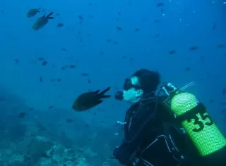 Curso de buceo PADI Rescue Diver en La Herradura