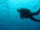 PADI Open Water Diver La Manga Del Mar Menor