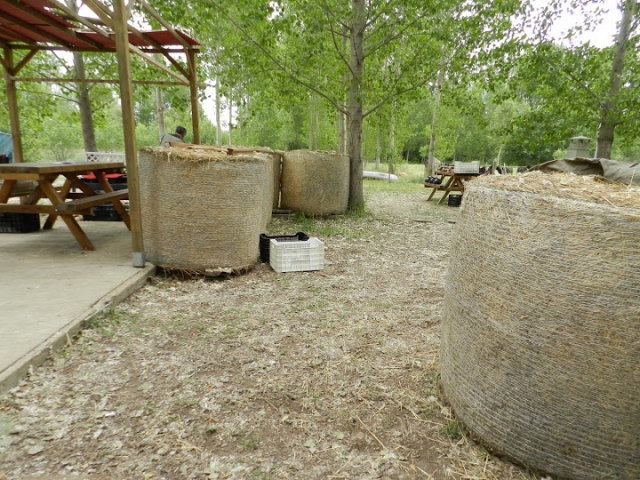 Campo de gotcha