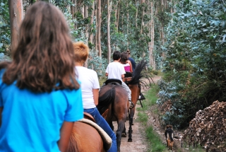 Cabalgamarra de 3 horas, San Miguel de Meruelo